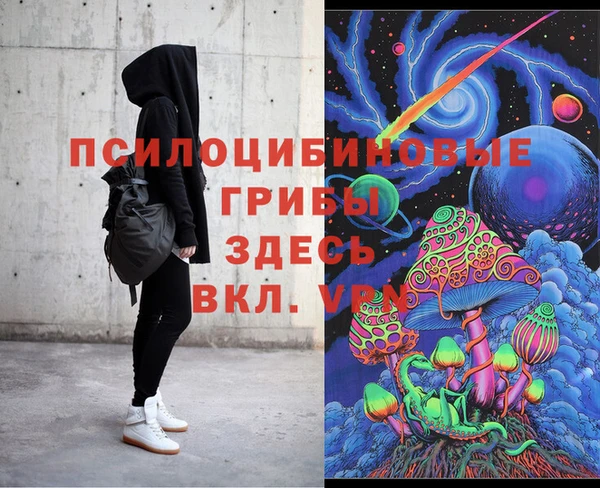 стафф Абинск